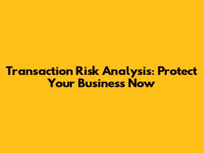 Transaction Risk Analysis: Protect Your Business Now