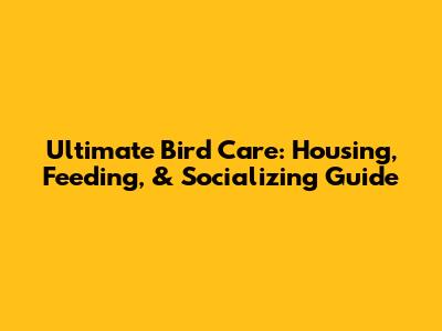Ultimate Bird Care: Housing, Feeding, & Socializing Guide