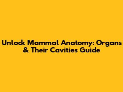 Unlock Mammal Anatomy: Organs & Their Cavities Guide