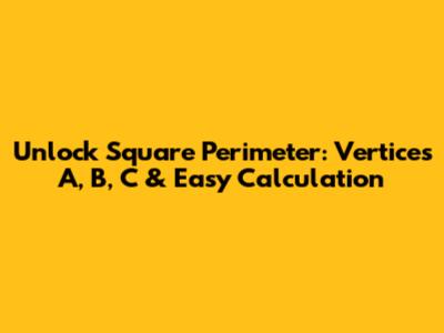 Unlock Square Perimeter: Vertices A, B, C & Easy Calculation