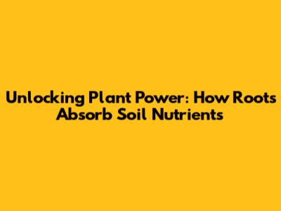 Unlocking Plant Power: How Roots Absorb Soil Nutrients