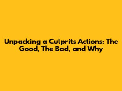 Unpacking a Culprit's Actions: The Good, The Bad, and Why