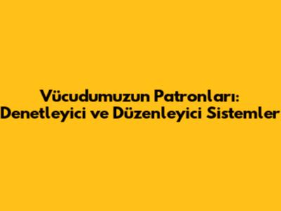Vücudumuzun Patronları: Denetleyici ve Düzenleyici Sistemler