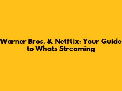Warner Bros. & Netflix: Your Guide to What's Streaming