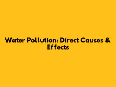 Water Pollution: Direct Causes & Effects