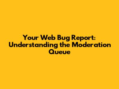 Your Web Bug Report: Understanding the Moderation Queue